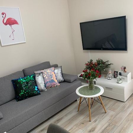 Apartament Walczaka 11 Miejsce Parkingowe 고르주프비엘코폴스키 외부 사진