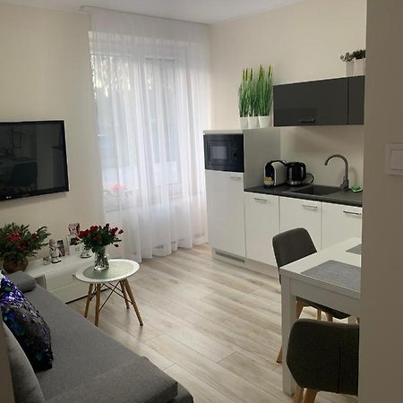 Apartament Walczaka 11 Miejsce Parkingowe 고르주프비엘코폴스키 외부 사진
