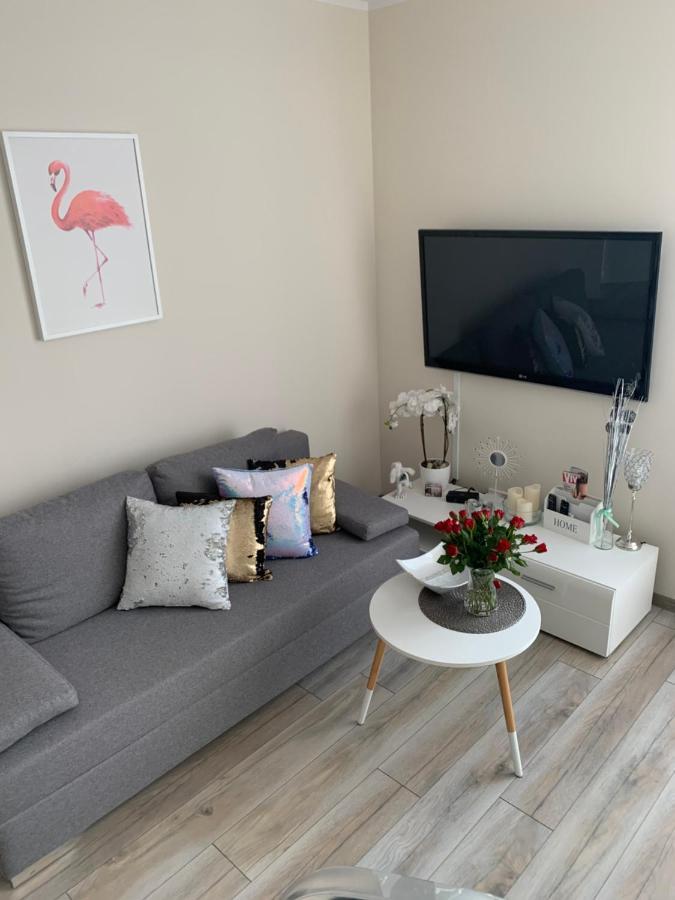 Apartament Walczaka 11 Miejsce Parkingowe 고르주프비엘코폴스키 외부 사진