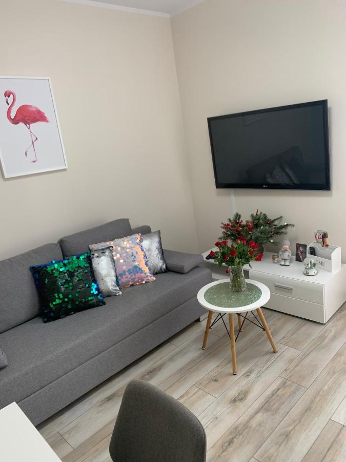 Apartament Walczaka 11 Miejsce Parkingowe 고르주프비엘코폴스키 외부 사진