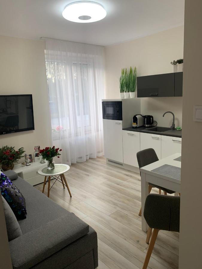 Apartament Walczaka 11 Miejsce Parkingowe 고르주프비엘코폴스키 외부 사진