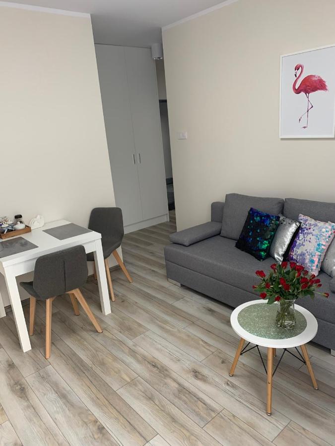Apartament Walczaka 11 Miejsce Parkingowe 고르주프비엘코폴스키 외부 사진